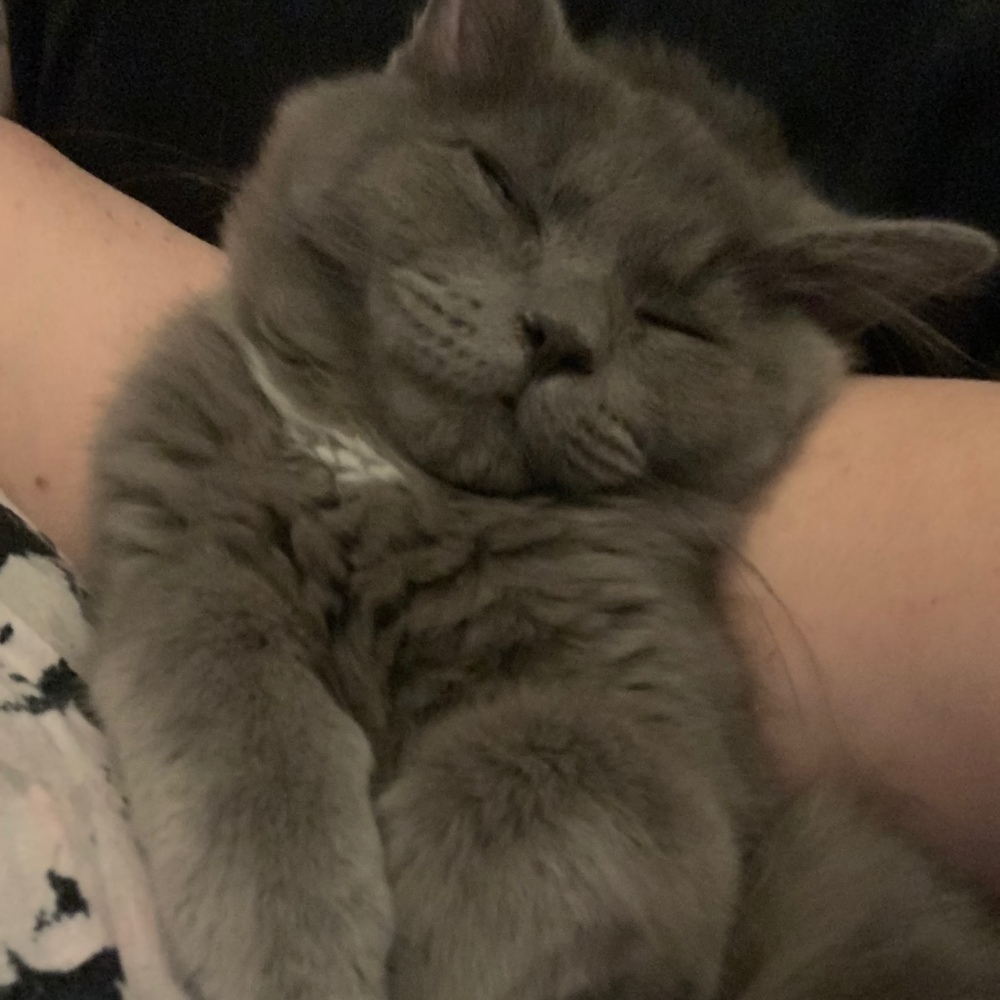 Meet your Posher, Christina